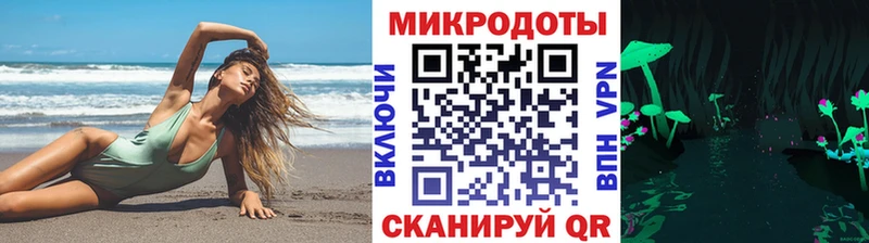 даркнет сайт  Ефремов  Галлюциногенные грибы мицелий 